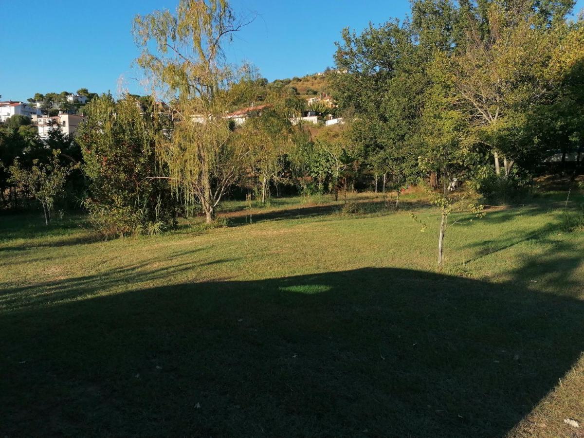 Costa Blu Bed and Breakfast Agropoli Eksteriør billede