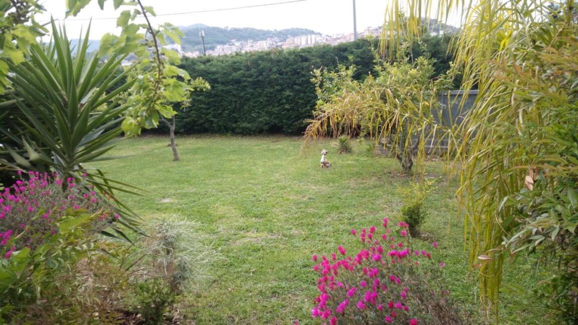 Costa Blu Bed and Breakfast Agropoli Eksteriør billede